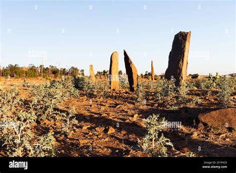 Das Faszinierende Stelae-Feld von Axum: Ein Blick in die Vergangenheit Äthiopiens!